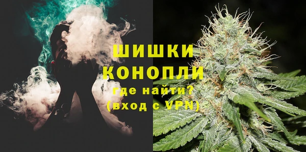 ГАЛЛЮЦИНОГЕННЫЕ ГРИБЫ Гусиноозёрск