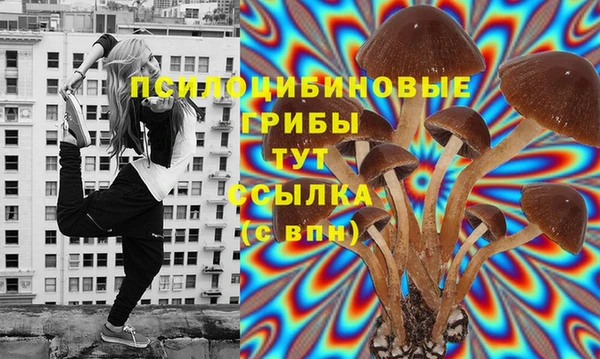 дурь Гусь-Хрустальный